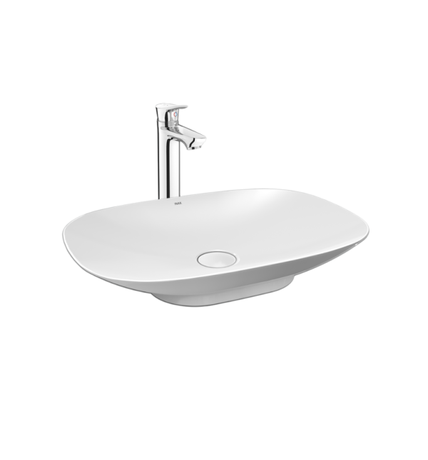chau-rua-dat-ban-al-s620v-inax